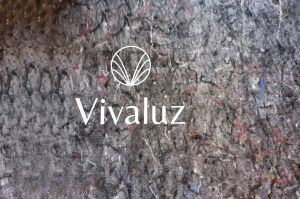 Nouvelle création d’entreprise au sein d’Un cube Axel • Bienvenue à Vivaluz !