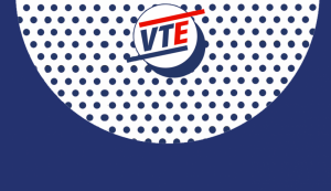 Logo VTE (volontariat territorial en entreprise)